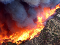 Verheerende Waldbr�nde in Griechenland - Die T�rkei hilft bei der Bek�mpfung